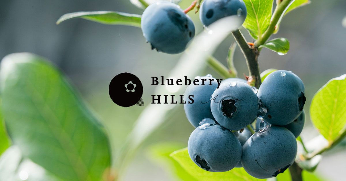 ブルーベリー図鑑 Blueberry Hills あつぎ 書いて食べる 新感覚ブルーベリー農園