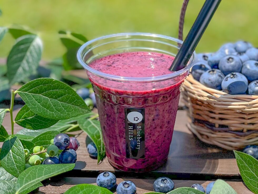 摘みたてブルーベリーが、贅沢スムージーに変身！ | ブルーベリー